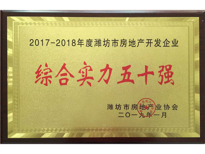 2018年度綜合實力五十強